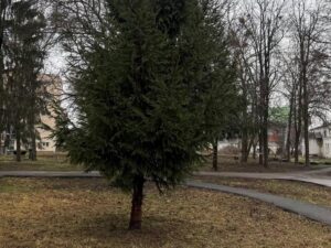 Біля будинку генерал-губернатора в центрі Полтави зявиться новий сквер