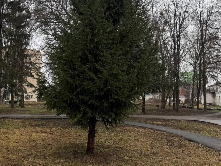 У центрі Полтави біля історичного будинку генерал-губернатора з’явиться новий сквер
