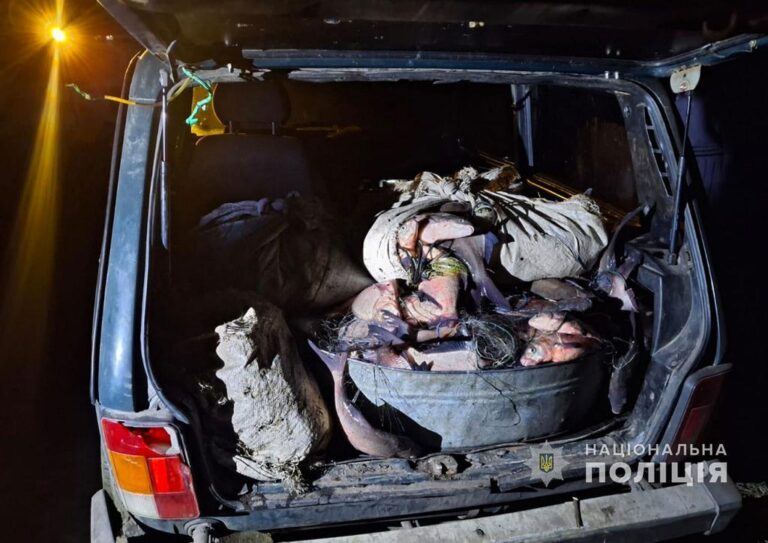 На Полтавщині у браконьєрів вилучили понад 250 кілограмів риби та 220 метрів сіток