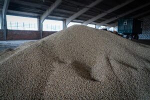 Зібрану з комунальних земель сою зберігають на підприємстві, продаватимуть, як зростуть ціни