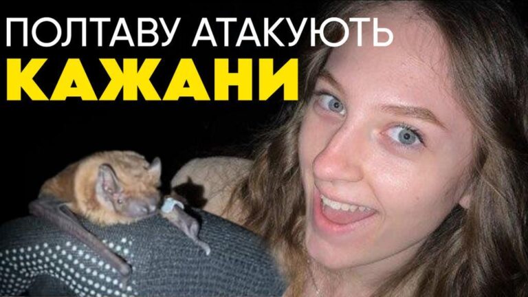 Полтаву атакують кажани: у дендропарку випустили понад 600 рукокрилих