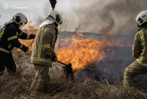 За добу на Полтавщині зафіксували понад 50 пожеж