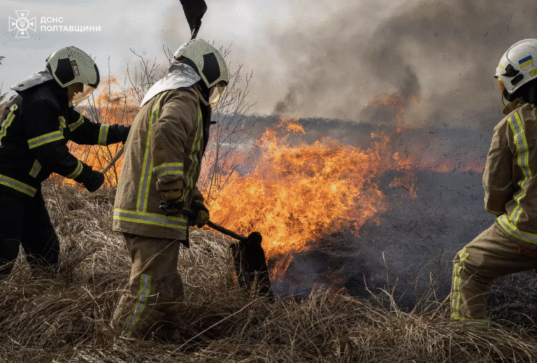 На Полтавщині за останню добу сталося понад 50 пожеж: вогонь не щадить ані поля, ані домівки