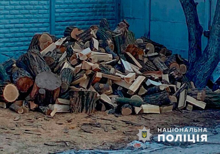 Збитки на мільйон: на Полтавщині поліція викрила незаконних лісорубів, які вирубали ліс на рекордну суму