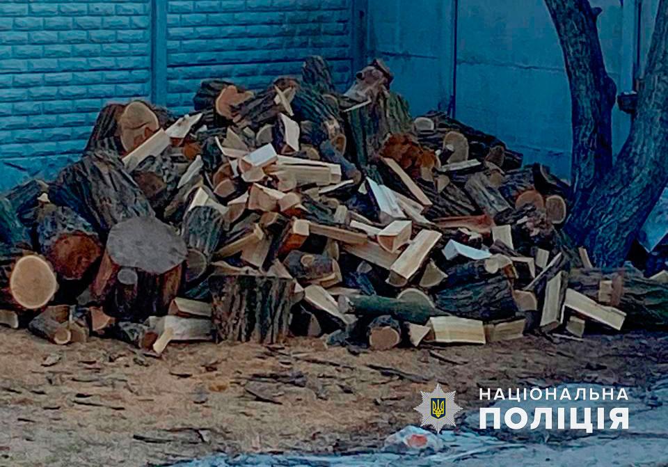 Збитки на мільйон: на Полтавщині викрили нелегальних лісорубів