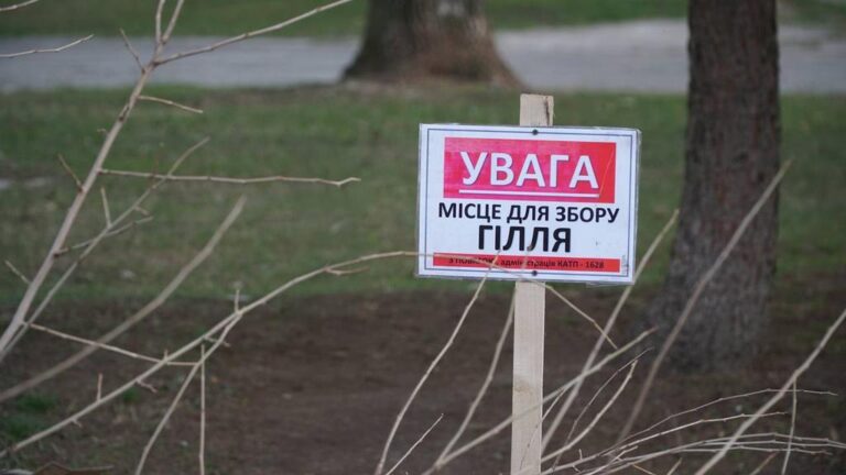 Відтепер у Полтаві гілля та листя дозволено залишати у спеціально відведених місцях — містяни отримали нові правила для чистого міста