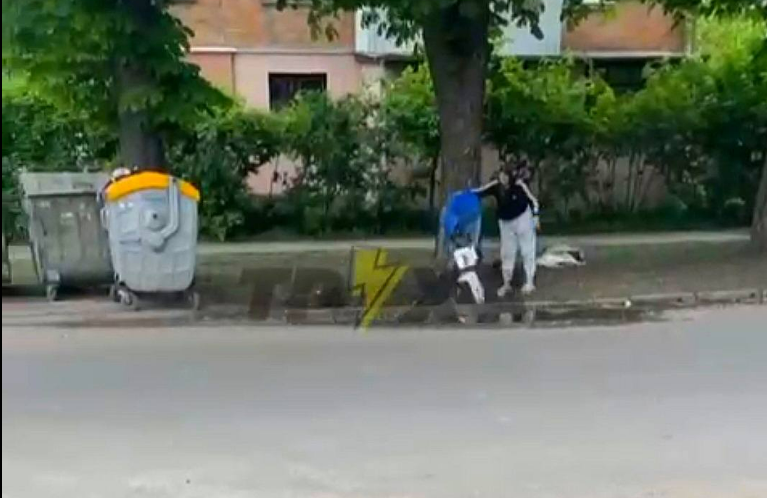 Висипала сміття біля баків у Полтаві: інспекція з благоустрою оштрафувала батька дівчини