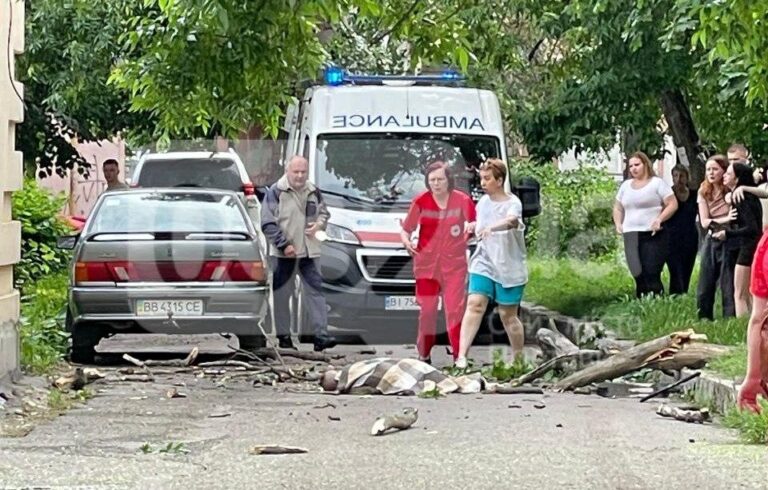 В центрі Полтави дерево впало на 9-річного хлопчика: постраждалого госпіталізували