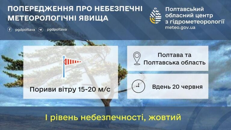 На Полтавщині може трапитися деревопад: синоптики й екологи попереджають жителів