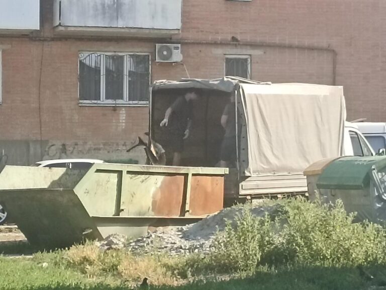 Полтава потопає у стихійних сміттєзвалищах: КАТП-1628 б’є на сполох і закликає суворо дотримуватись правил утилізації