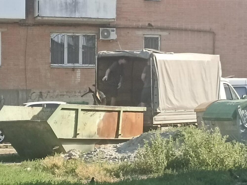 Полтава потопає у стихійних сміттєзвалищах: КАТП-1628 закликає дотримуватися правил утилізації
